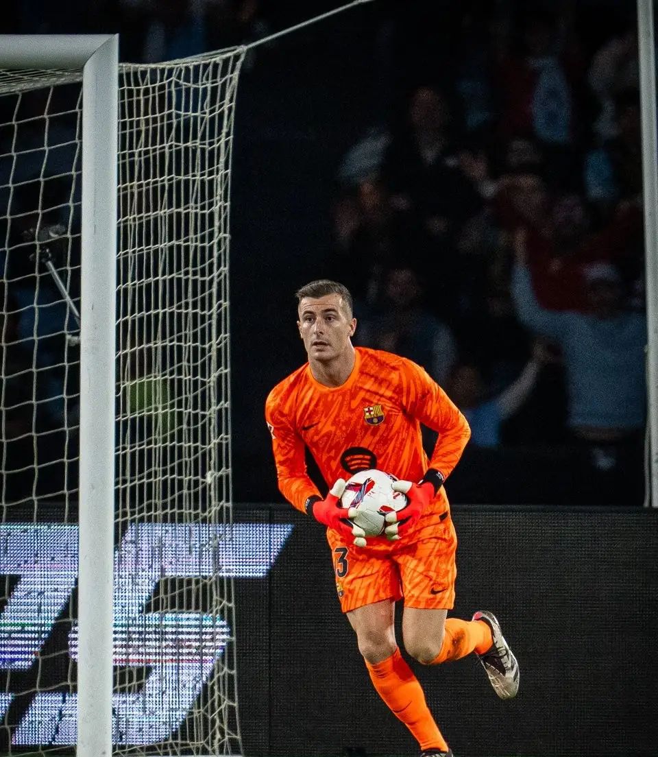 关于尼斯队员发挥出色，球队备受瞩目的信息